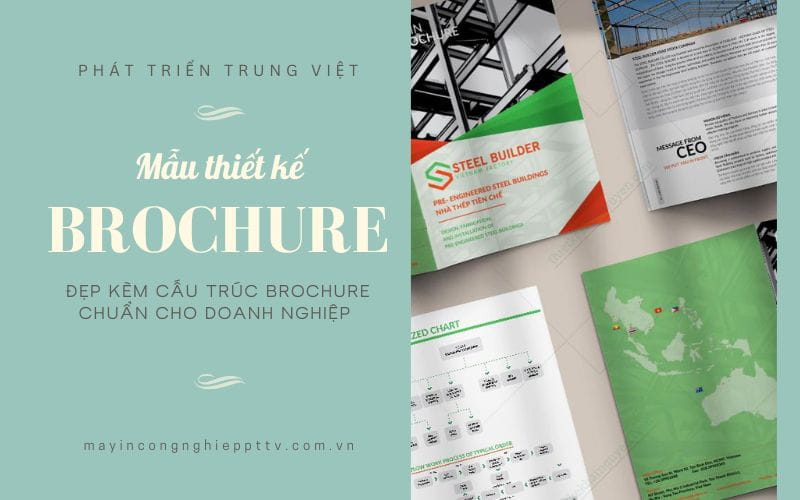 Mẫu thiết kế brochure đẹp kèm cấu trúc brochure chuẩn cho doanh nghiệp